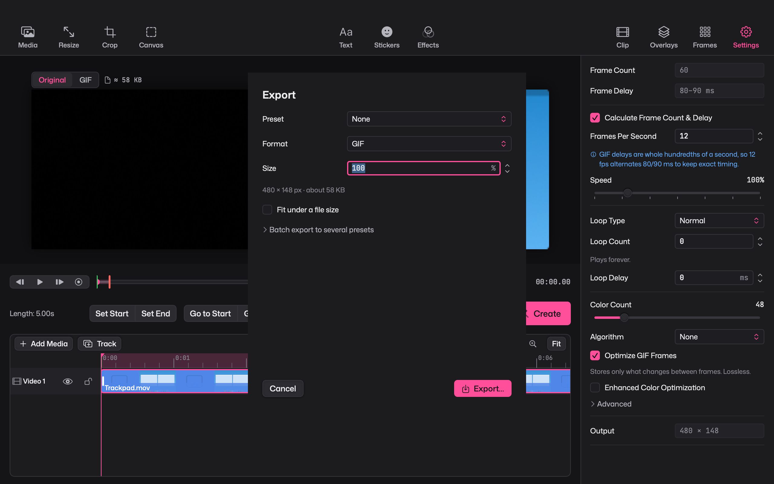The Giffiti export sheet with preset, format, size and a Fit under a file size option